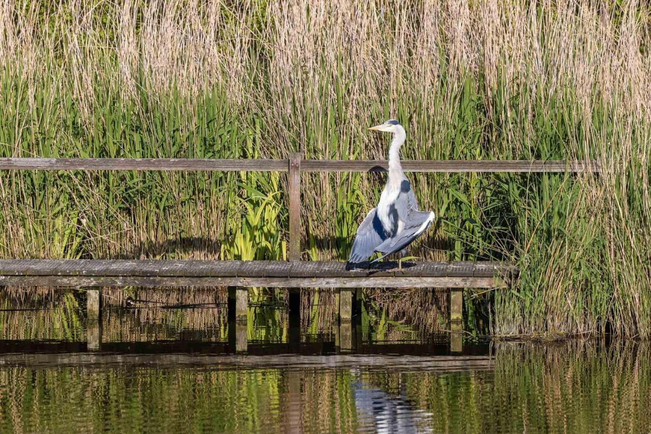 De Heerlijkheid Hensbroek Villa Dış mekan fotoğraf